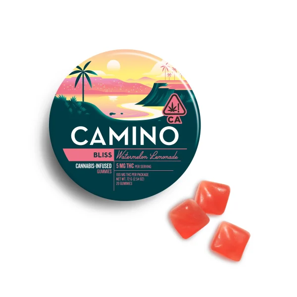 Camino Watermelon Lemonade