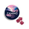 Camino Wild Berry